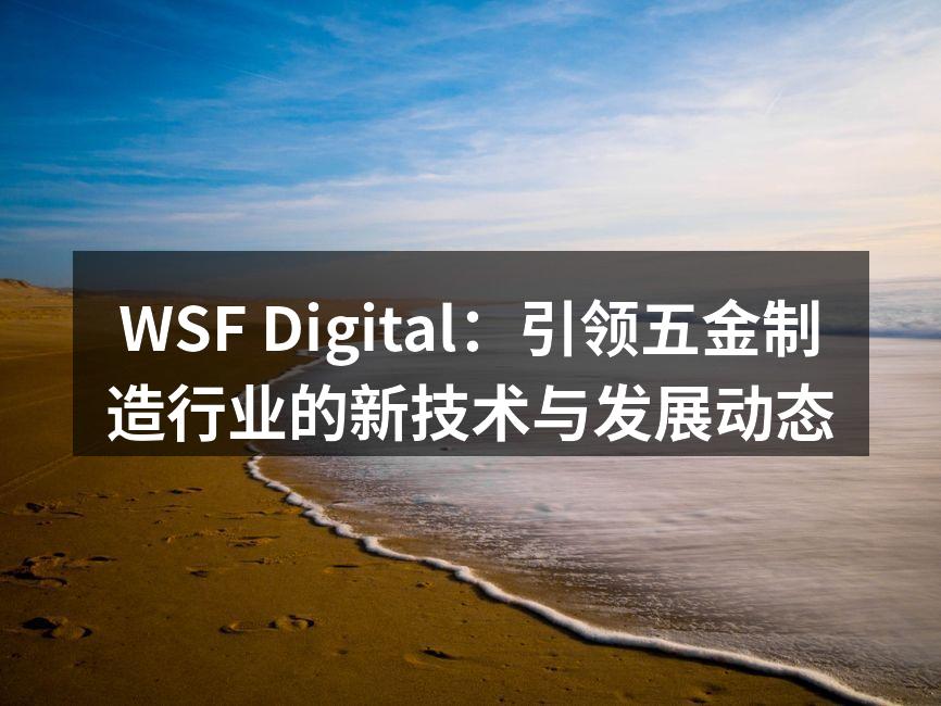 WSF Digital:引领五金制造行业的新技术与发展动态