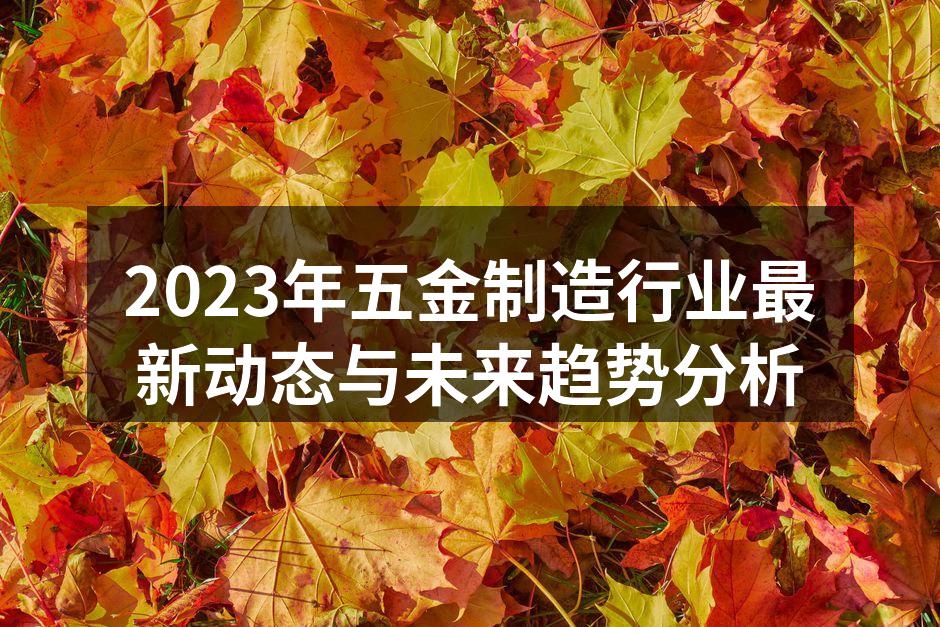 2023年五金制造行业最新动态与未来趋势分析